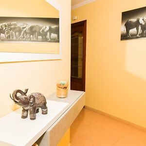 Apartamento de 3 Dormitorios